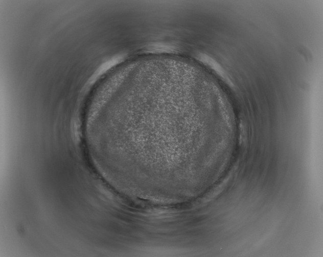 X0000113541213200910091236