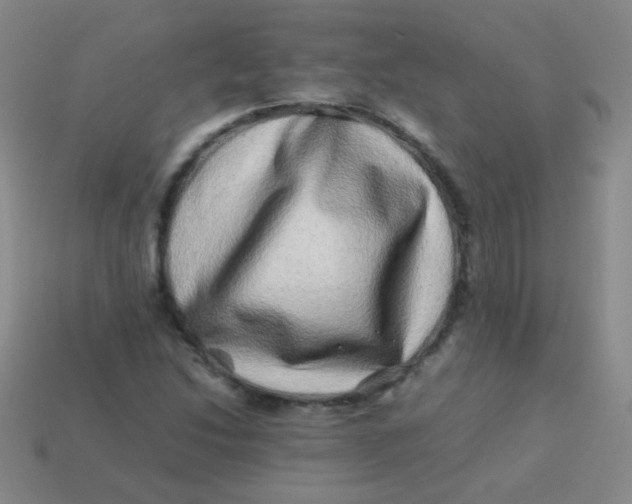 X0000113541214200910091236