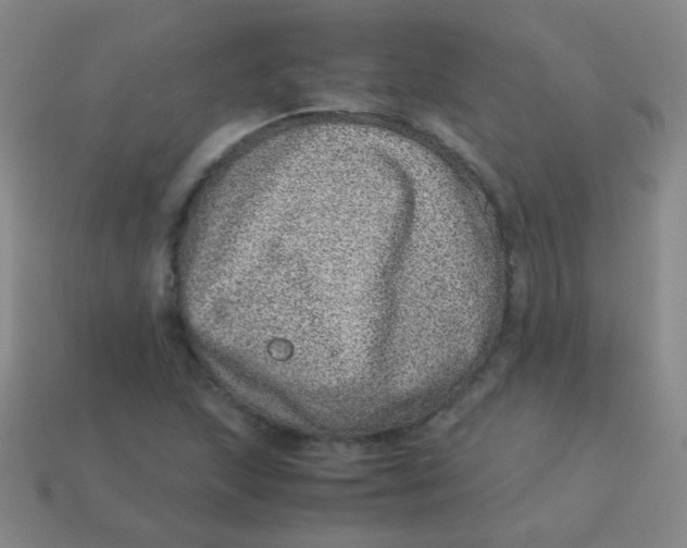 X0000113541215200910091236