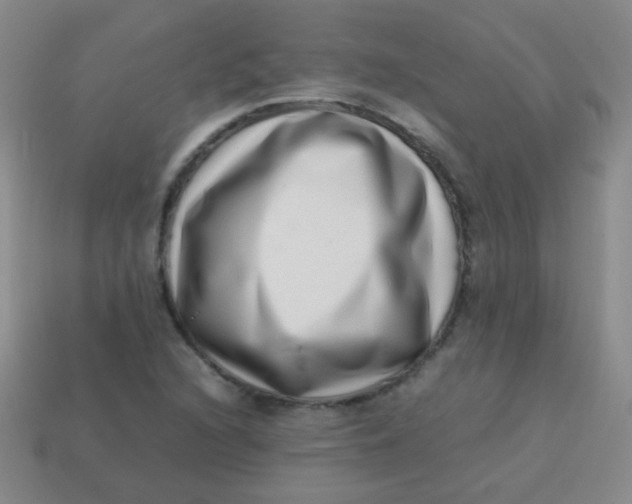 X0000113541216200910091236