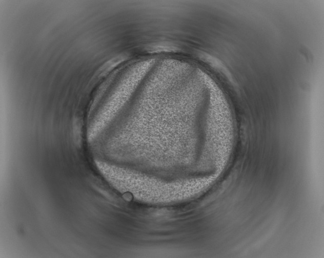 X0000113541217200910091236