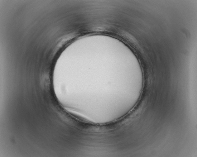 X0000113541218200910091236