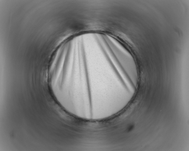 X0000113541220200910091236