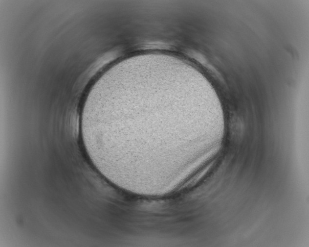 X0000113541221200910091236