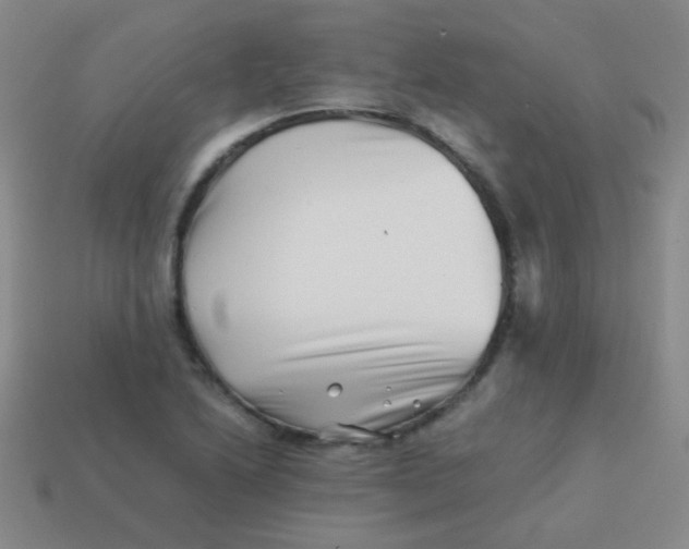 X0000113541222200910091236