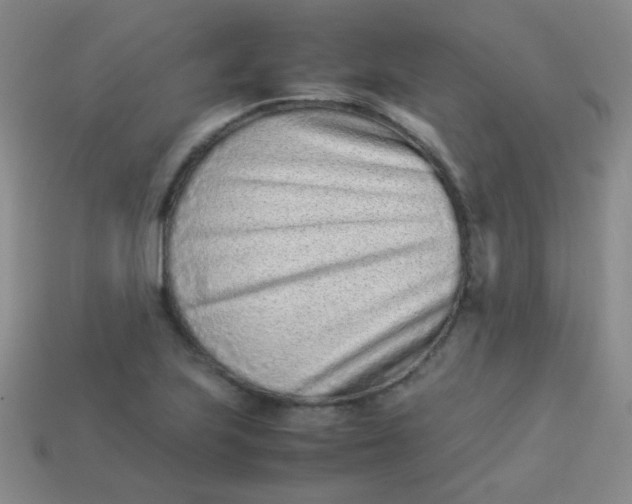 X0000113541223200910091236