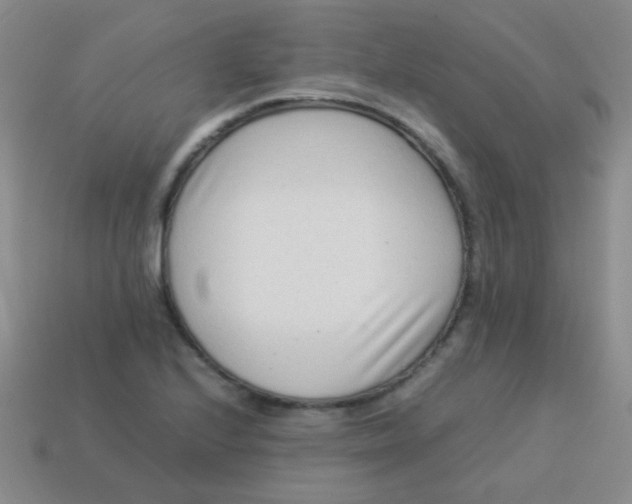 X0000113541224200910091236