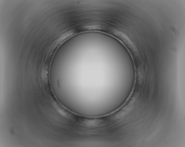 X0000113541225200910091236