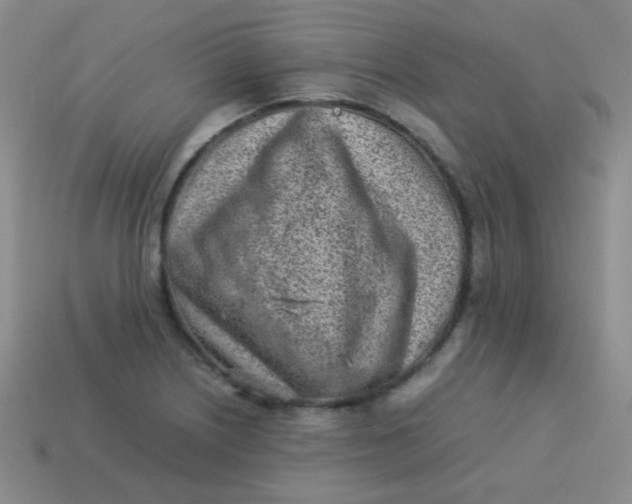 X0000113541226200910091236