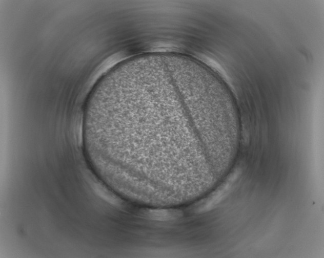 X0000113541227200910091236