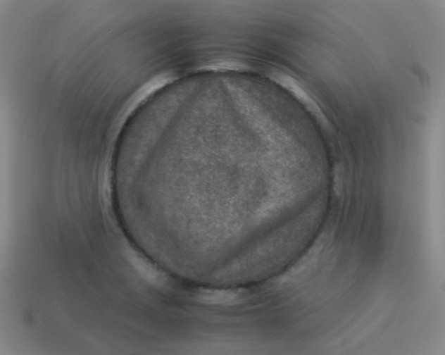 X0000113541229200910091236