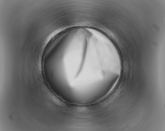 X0000113541230200910091236