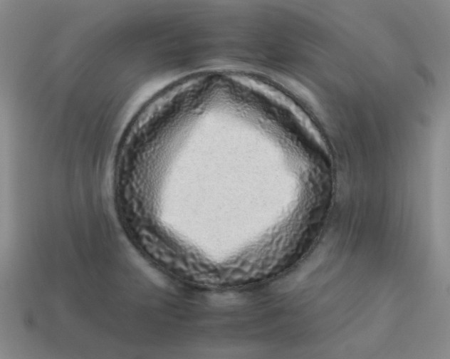 X0000113541231200910091236