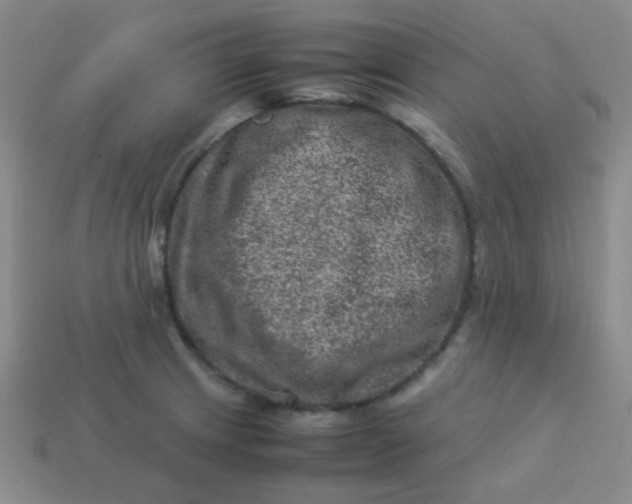 X0000113541233200910091236