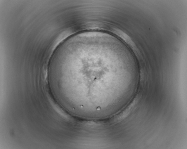 X0000113541234200910091236