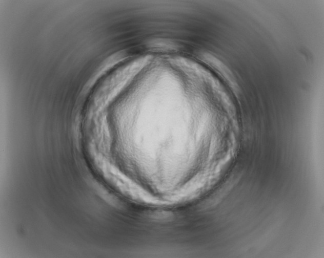 X0000113541235200910091236