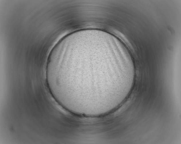 X0000113541236200910091236