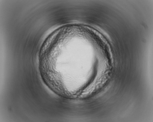 X0000113541239200910091236