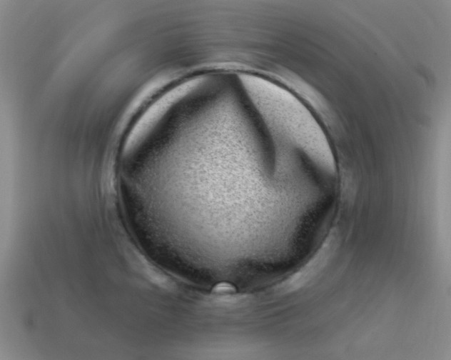 X0000113541240200910091236