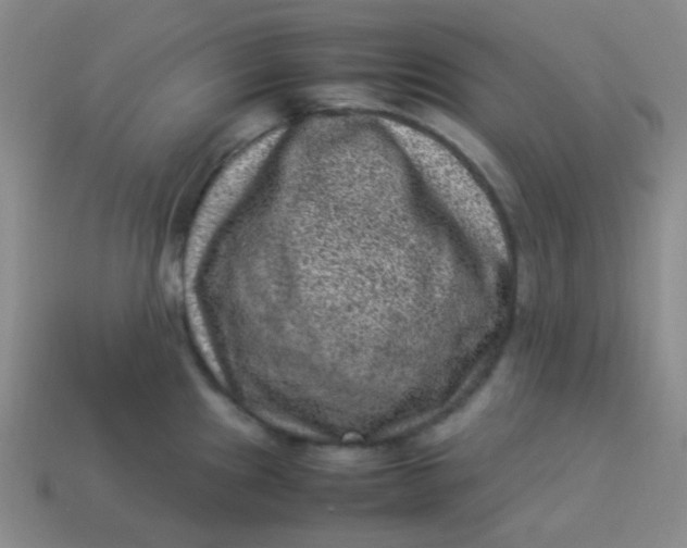 X0000113541241200910091236