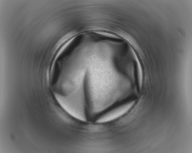 X0000113541242200910091236