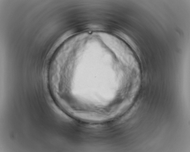 X0000113541243200910091236