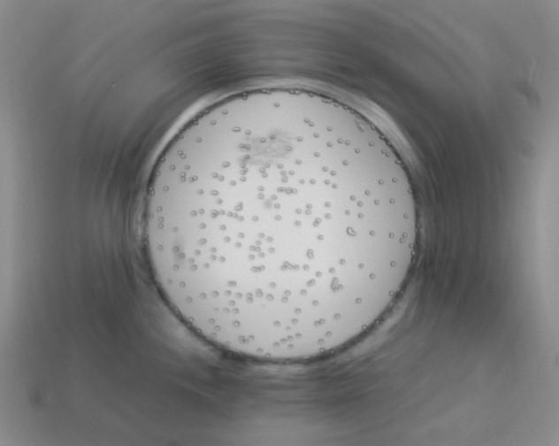 X0000113541244200910091236