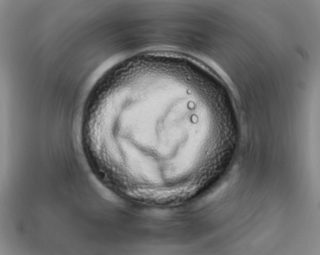 X0000113541245200910091237