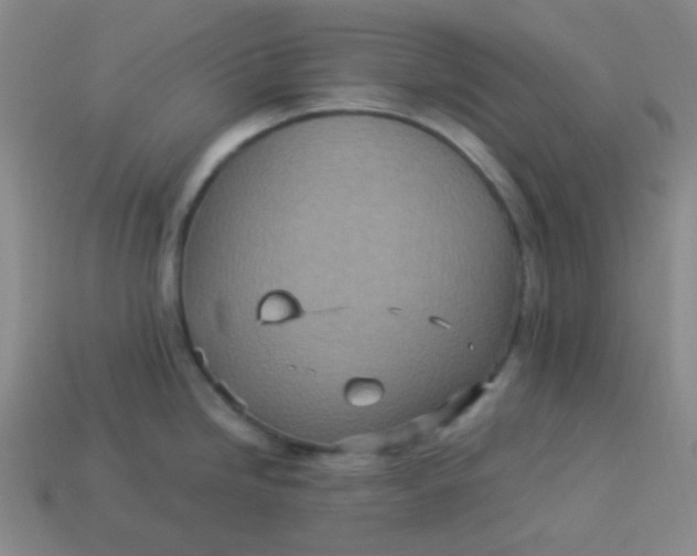 X0000113541246200910091237