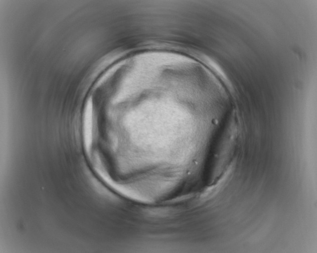 X0000113541247200910091237