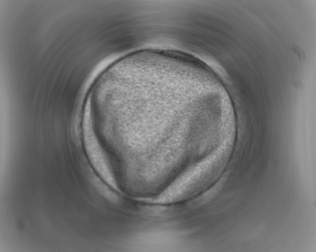 X0000113541248200910091237