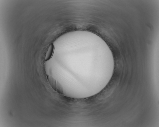 X0000113541249200910091236