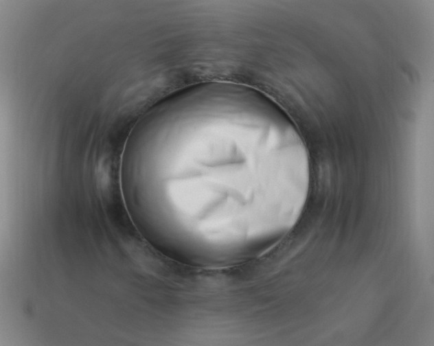 X0000113541250200910091236