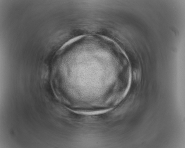 X0000113541251200910091236