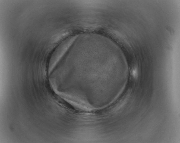 X0000113541252200910091236