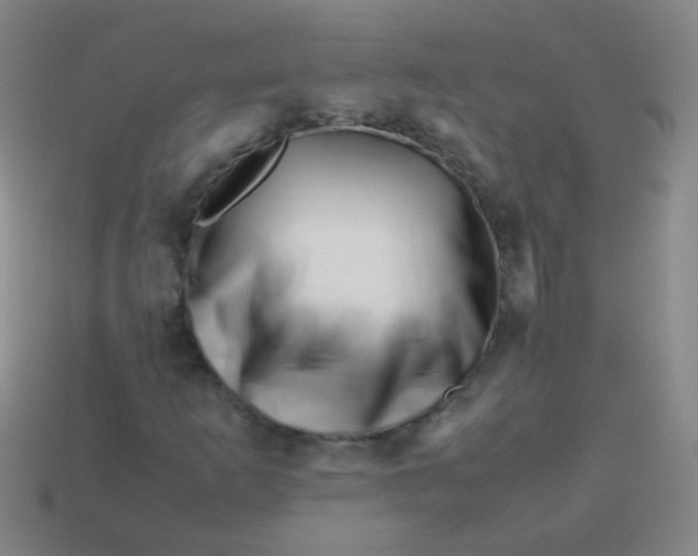 X0000113541253200910091236