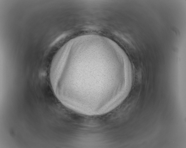 X0000113541254200910091236