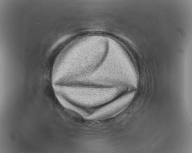 X0000113541255200910091236