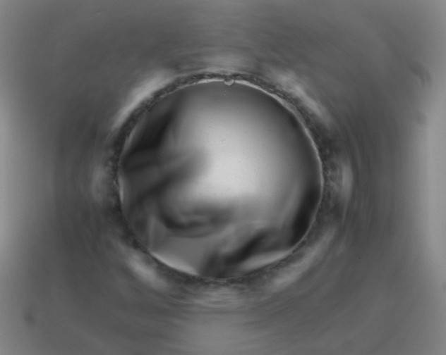 X0000113541256200910091236