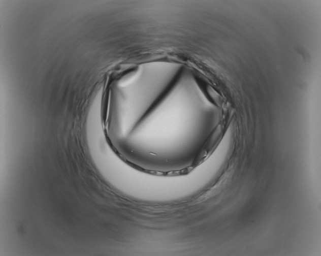 X0000113541257200910091236