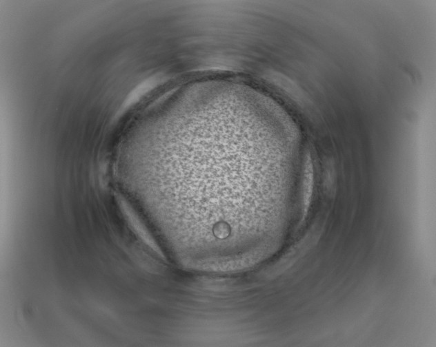 X0000113541258200910091236