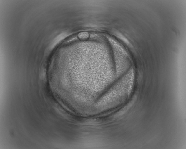 X0000113541259200910091236