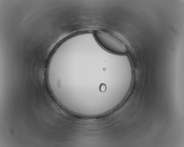 X0000113541260200910091236