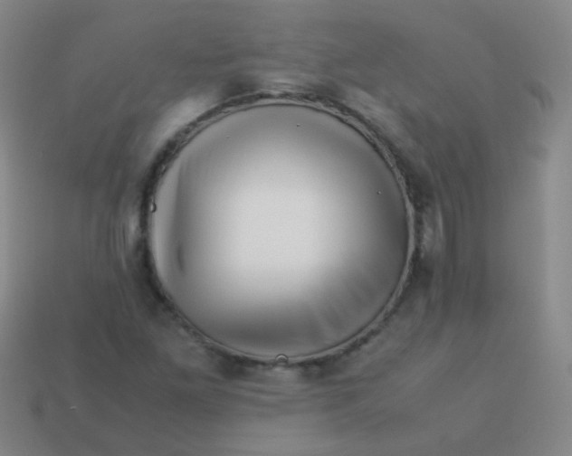 X0000113541261200910091236