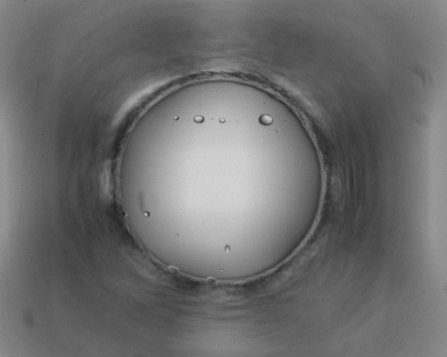 X0000113541262200910091236