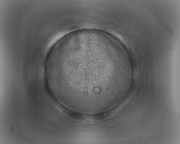 X0000113541263200910091236