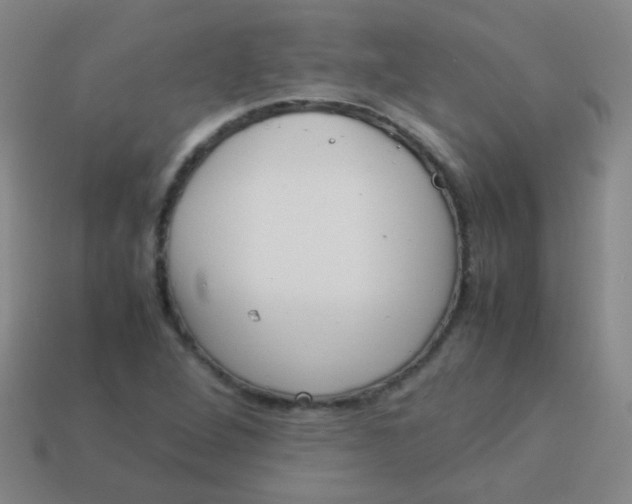 X0000113541264200910091236