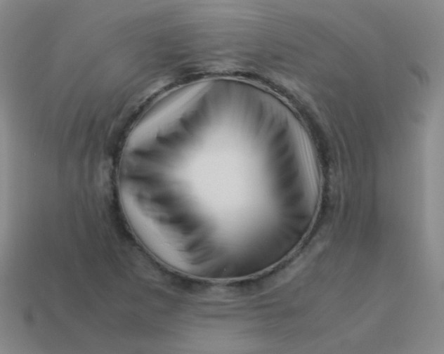 X0000113541265200910091236