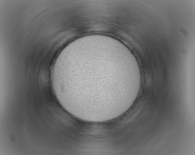 X0000113541266200910091236