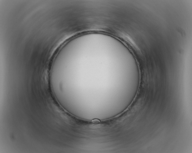 X0000113541268200910091236